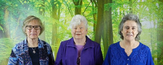 Thresholds of Transformation for Seekers & Searchers (TTSS)