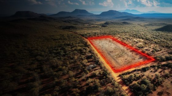 Brazil’s Deforestation Falls Below One Million Hectares: A Sign of Hope, But Not the End of the Story